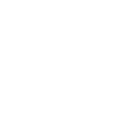 inei